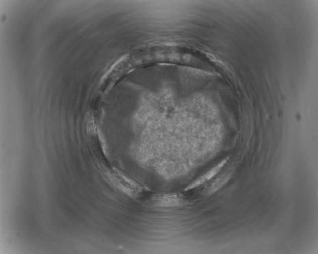 X0000079280384200612081759