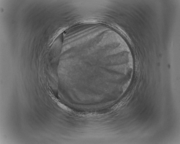 X0000079280385200612081758