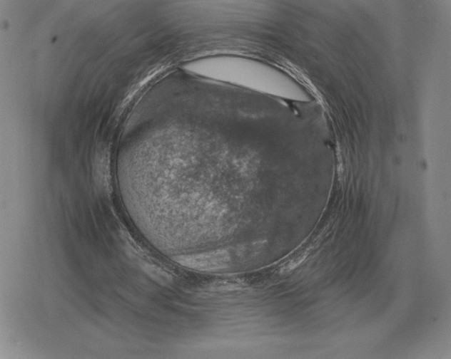 X0000079280386200612081758