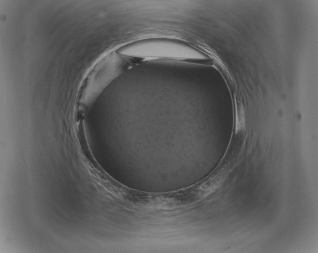 X0000079280387200612081758