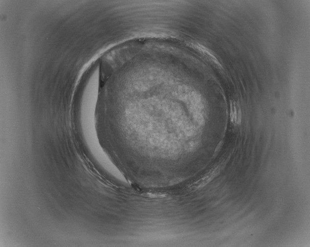 X0000079280388200612081758