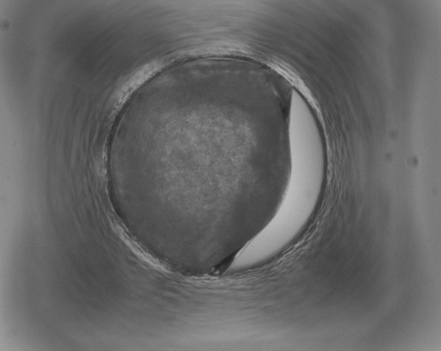 X0000079280389200612081758