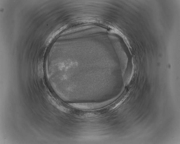 X0000079280390200612081758