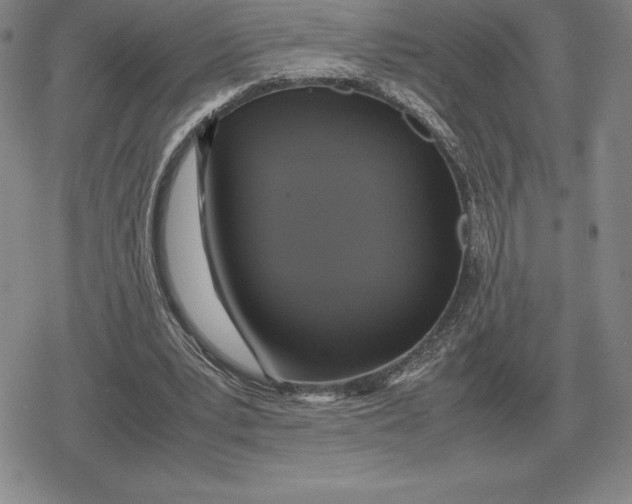 X0000079280391200612081758