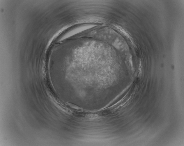 X0000079280392200612081758