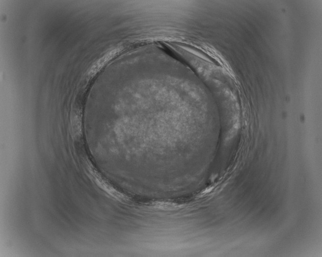 X0000079280393200612081758