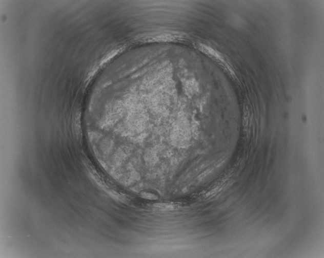 X0000079280394200612081758