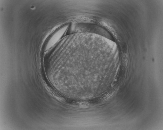 X0000079280395200612081758