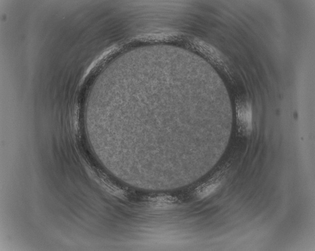 X0000079280396200612081758