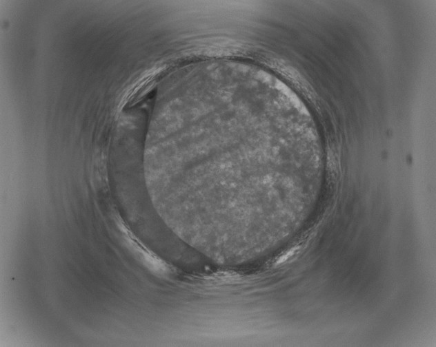 X0000079280397200612081758