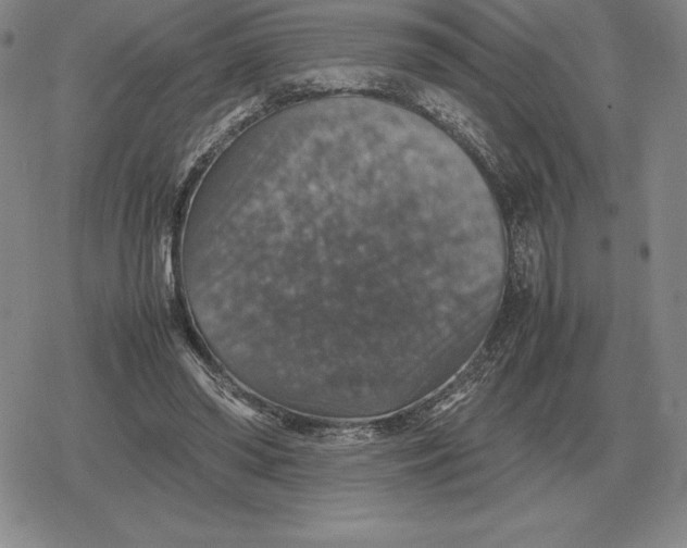 X0000079280398200612081758