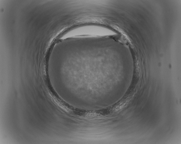 X0000079280399200612081758