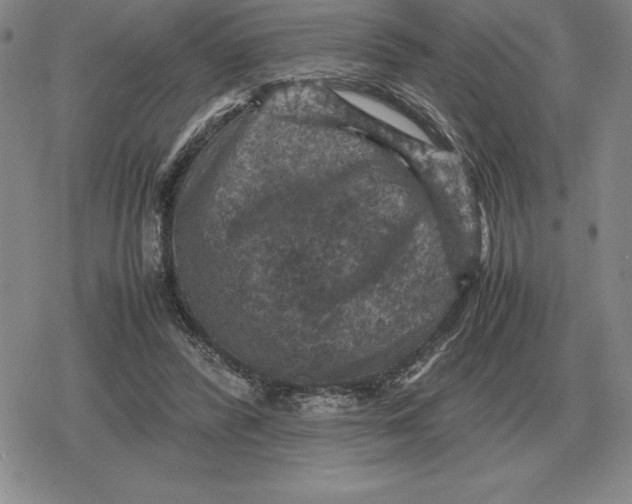 X0000079280400200612081758