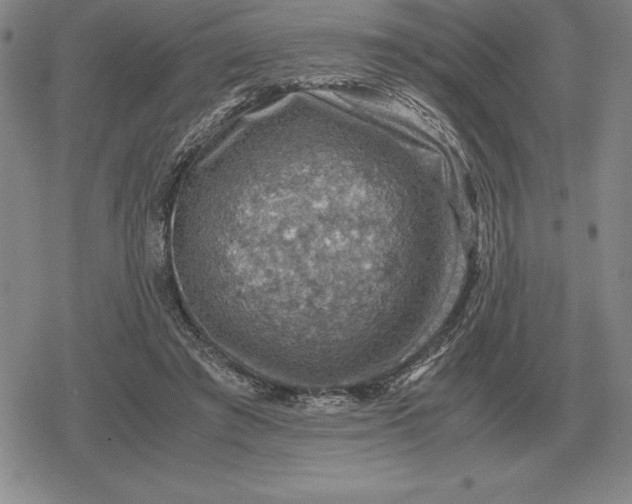 X0000079280401200612081758