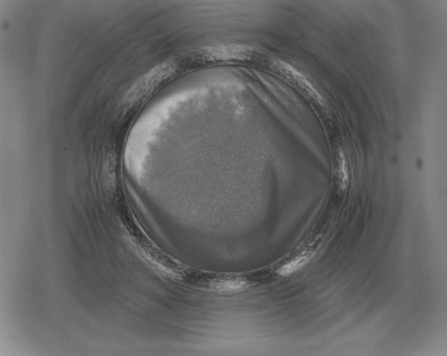 X0000079280402200612081758