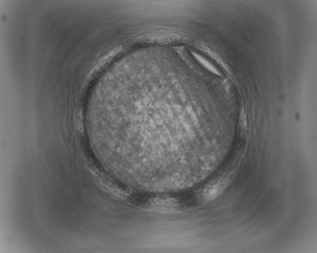 X0000079280403200612081758