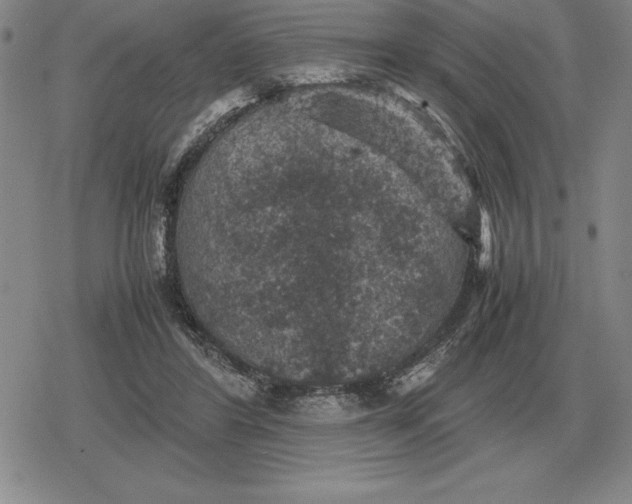 X0000079280404200612081758