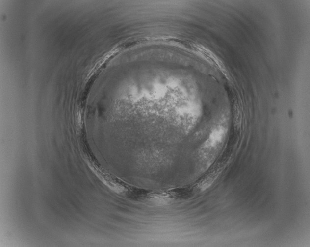 X0000079280405200612081758