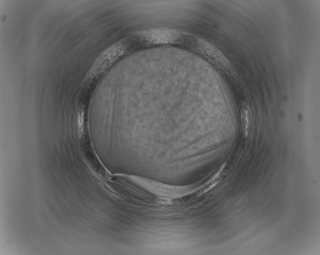 X0000079280406200612081758