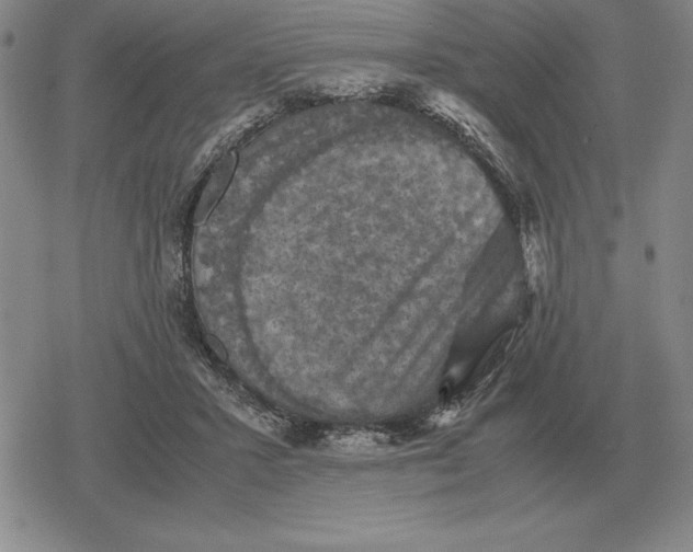 X0000079280407200612081758