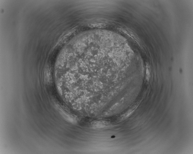 X0000079280408200612081758