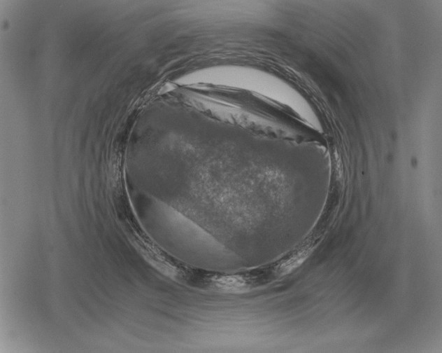 X0000079280409200612081758