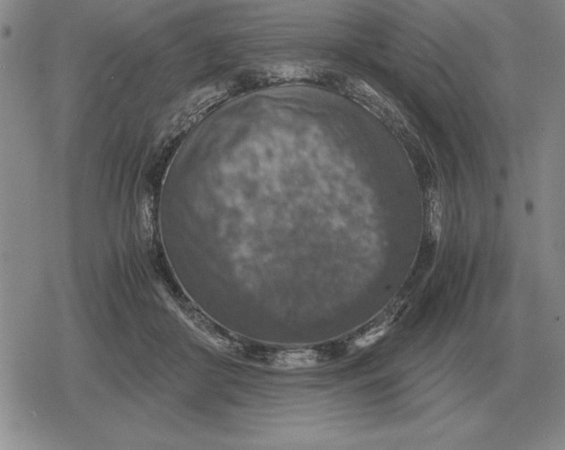 X0000079280410200612081758