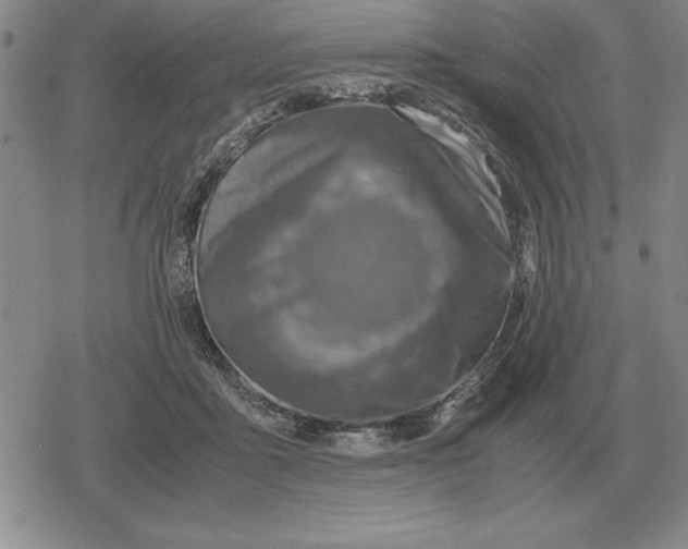 X0000079280411200612081758