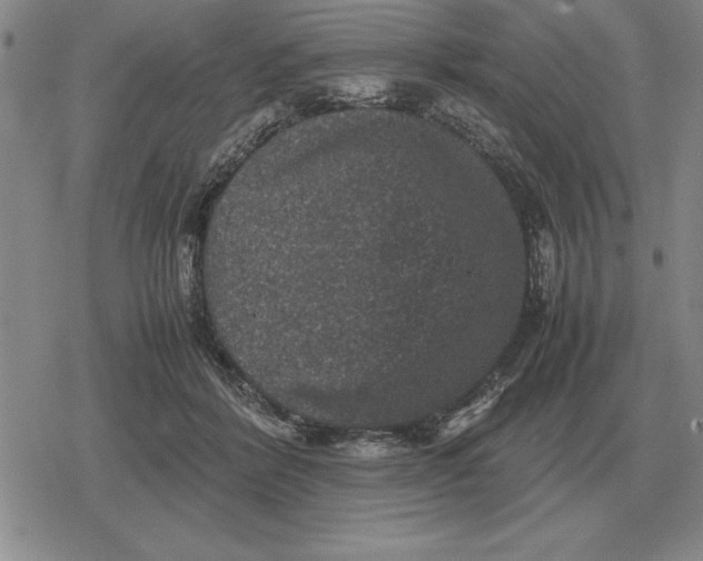 X0000079280412200612081758