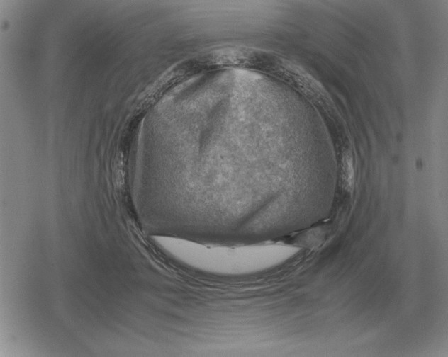 X0000079280413200612081758