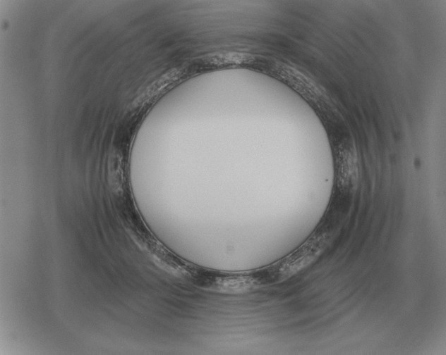 X0000079280414200612081758