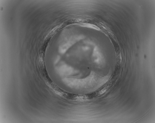 X0000079280415200612081758