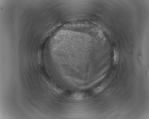 X0000079280416200612081758