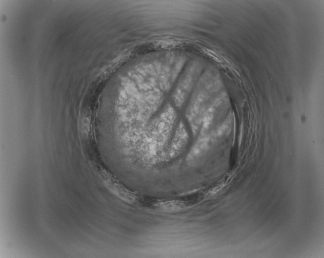 X0000079280417200612081758