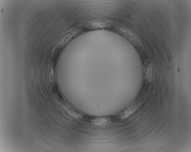 X0000079280418200612081758