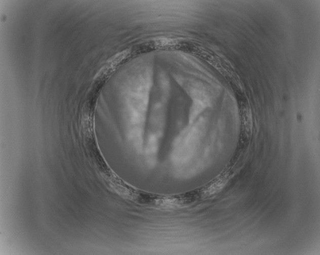 X0000079280419200612081758