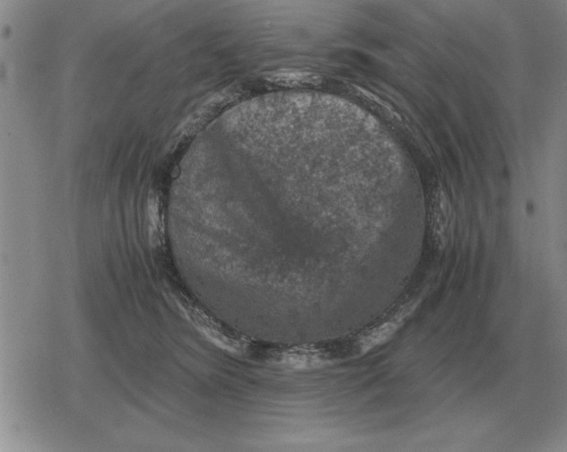 X0000079280420200612081758