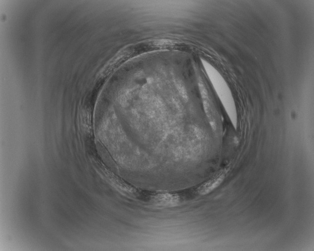 X0000079280421200612081758