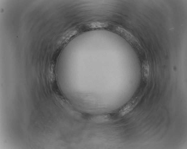 X0000079280422200612081758