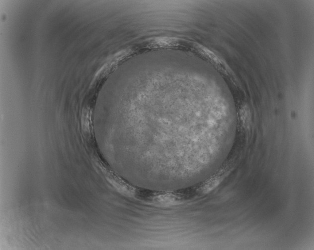 X0000079280423200612081758