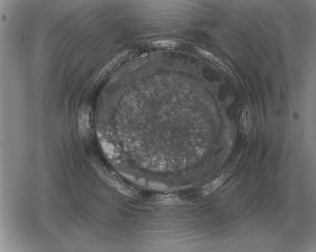 X0000079280424200612081758