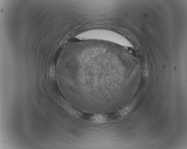 X0000079280425200612081758