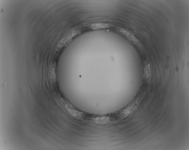 X0000079280426200612081758