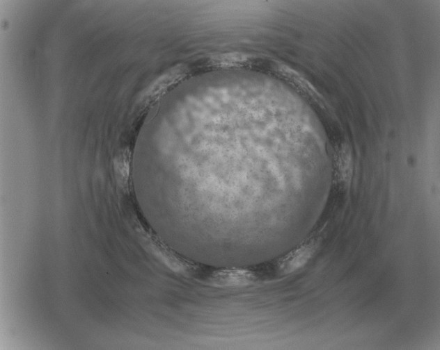 X0000079280427200612081758