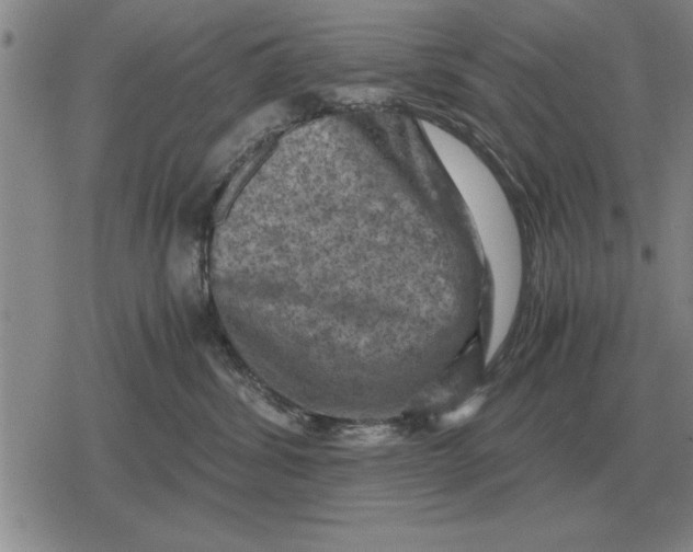 X0000079280428200612081758