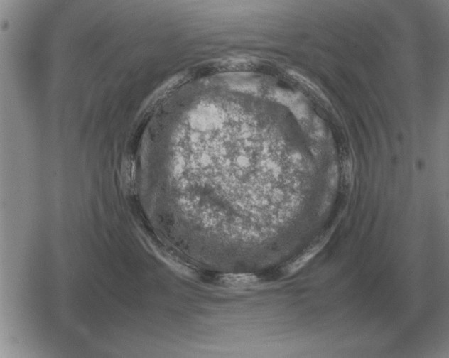 X0000079280429200612081758