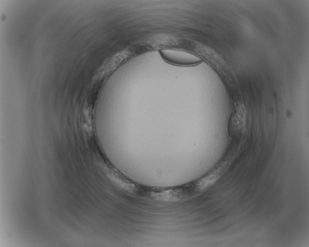 X0000079280430200612081758