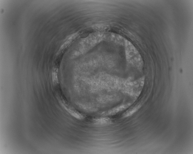 X0000079280432200612081758