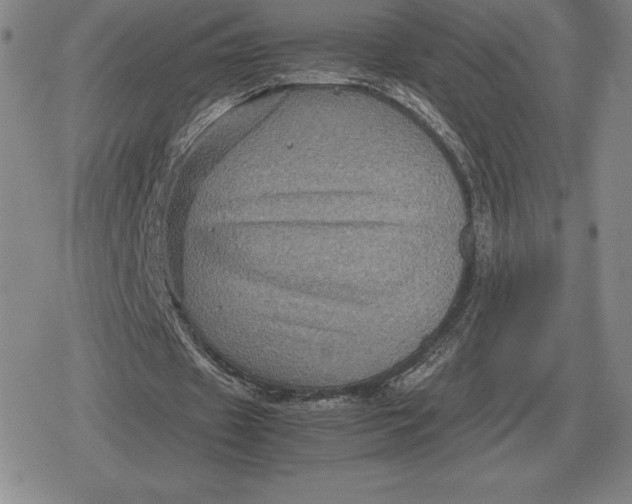 X0000079280433200612081757