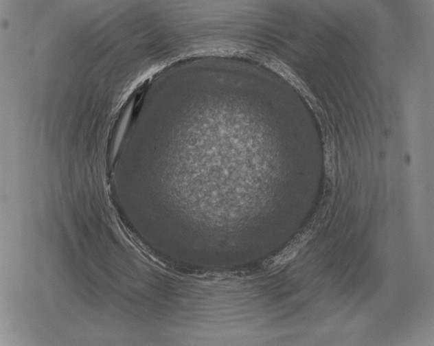 X0000079280434200612081757